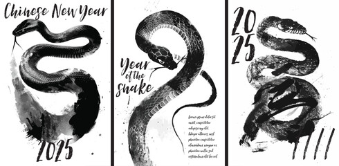 Year of the snake 2025. Chinese new year poster with painted snake design