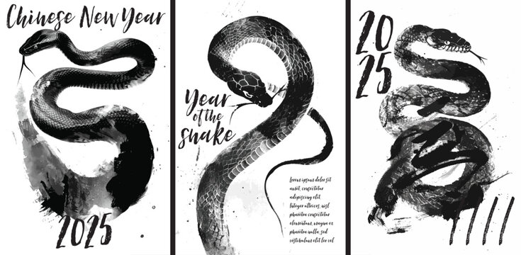 Year of the snake 2025. Chinese new year poster with painted snake design