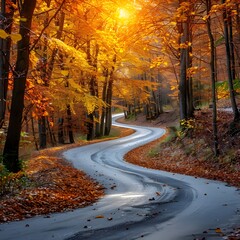 Obraz premium Winding Autumn Road Through Vibrant Forest Landscape with Colorful Foliage