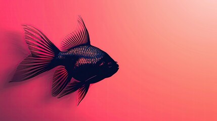 Fototapeta premium Silhouette of an abstract fish swimming shadow on a solid magenta background