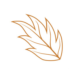 Doodle leaf line decoration leaves tree hand drawing modern that can be used for sticker, book, scrapbook, icon, decorative, e.t.c with aesthetic autumn colorful color