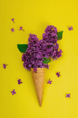 Violet lilac flowers in waffle ice cream cones on purple background. Flat lay, spring concept
