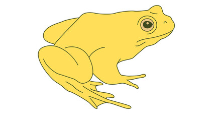 illustration of a frog