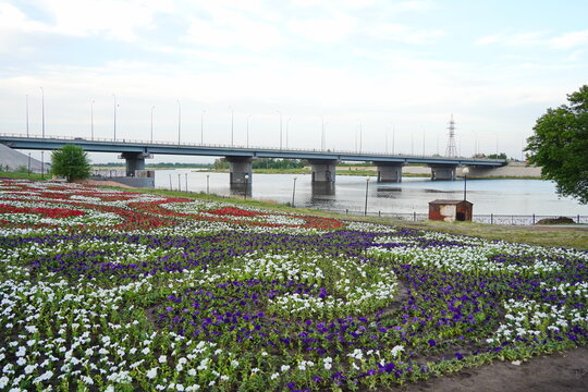 A garden of different colors along the embankment of the Tobol River.