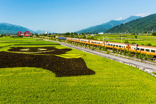 Hualien, Taiwan: May 28, 2018: A Chu-Kuang Express train is passing through the Kecheng bridge near Yuli railway station in Hualien, Taiwan, and a large area of rice fields ahead.