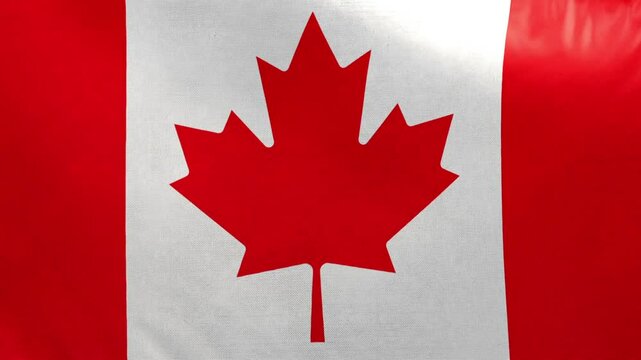 Canada flag. Canadian flag waving in the wind. Full screen, flat, cloth material texture. National Flag. Loopable. Looping. CGI graphic animation HD