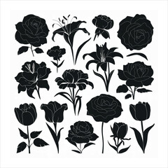 Contemporary minimalist botanical sketch of a tiny tattoo flower design - Vector illustration