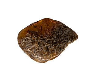 amber on the  white, isolated
