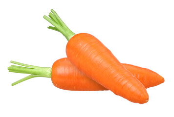 two carrots isolated, carrot macro studio photo, transparent PNG, PNG format, cut out