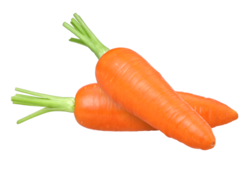 two carrots isolated, carrot macro studio photo, transparent PNG, PNG format, cut out