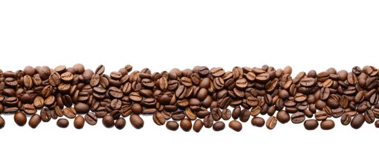 Coffee beans displayed with copy space image on white backdrop