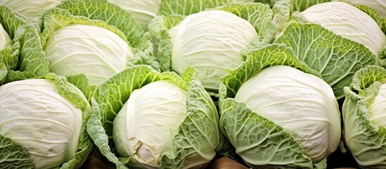 Fresh white cabbage heads beautifully displayed on dry straw at a local market creating a vibrant and wholesome copy space image Healthy eating promoted