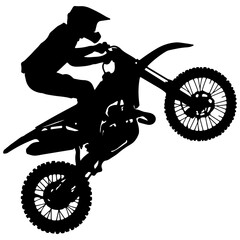 Fototapeta premium dirtbike doing a whip trick in the 