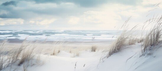 Copy space image of a wintry scene on the Baltic Sea coast featuring sand dunes marram grass and a stormy sea