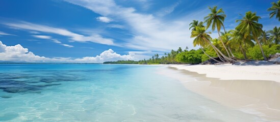 Fototapeta premium Idyllic beach on a sandy sea coast with white sand offering a peaceful getaway for a resort holiday revealing an empty shore with a picturesque view and copy space image