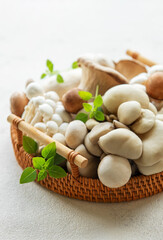 Variety of mushrooms