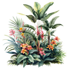 Obraz premium Flower bush shrub tree plant tropical jungle in watercolor style isolated on transparent background.