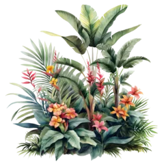 Fotobehang Flower bush shrub tree plant tropical jungle in watercolor style isolated on transparent background. © somwut