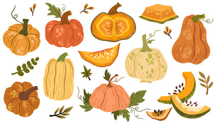 Pumpkin hand drawn set. Collection of colorful drawing autumn vegetable whole, slice and halves isolated on white background. Seasonal fresh plant bundle. Vector graphic illustration.
