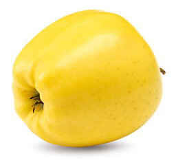 single yellow apple isolated on white background. clipping path