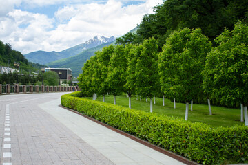 Rosa Khutor embankment, mountains and green forest. Krasnaya Polyana, Sochi.