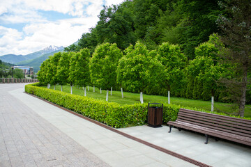 Rosa Khutor embankment, mountains and green forest. Krasnaya Polyana, Sochi.
