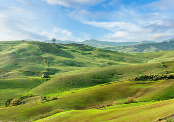 spring or summer nature farm landscape with green salad grassland hills and beautiful cloudy ske on baclground. Farming landscape in spring or summer field