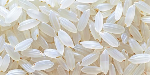 Abstract background rice structure healthy food