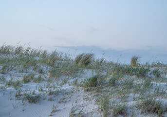 landscape of dunes on the North Sea in Germany