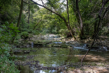 Obraz premium View of La Brague River in the department of Alpes-Maritimes as seen in La Brague Park, near Biot Village, Provence-Alpes-Cote d'Azur, French Riviera, France