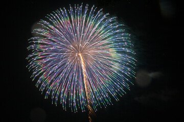 有名花火師による芸術花火