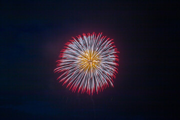 夏を彩る花火