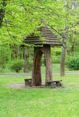 Wooden gazebo in the spring forest made in a tree trunk.
