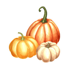 Pumpkins orange, yellow and white composition. Hand drawn watercolor illustration, isolated. Thanksgiving traditional autumn vegetables. Template for invitation, card, Halloween, wrapping, embroidery.