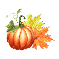 Pumpkin orange with maple leaves. Autumn composition. Hand drawn watercolor illustration, isolated. Thanksgiving traditional vegetables. Template for invitation, card, Halloween, wrapping, embroidery.