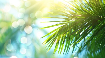 Obraz premium summer beach with tropical palm leaves summer background.