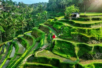 Fototapeten Bali Tourist in red dress walking on tegalalang rice terrace in Bali, Indonesia.  © tawatchai1990