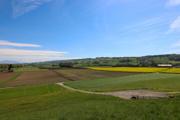 Obraz premium agriculture fields in switzerland