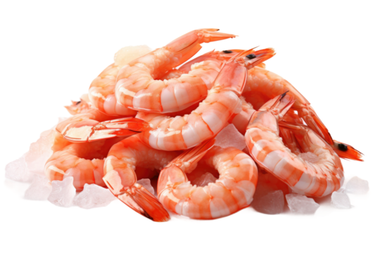 Icy Throne for Shimmering Shrimp on a Clear PNG or White Background.