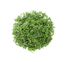 Pile of fresh dill isolated on white, top view