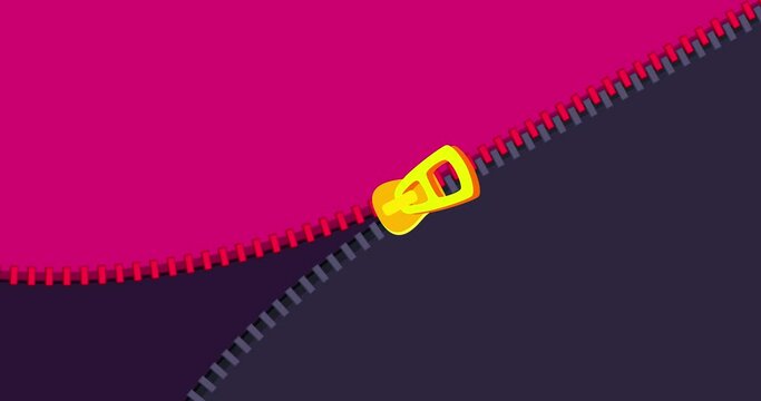 Zipper transition wipe across gray violet red isolated background. Cartoon fastener binder animation preset. Motion design element. Business, art, education, science, fashion.
