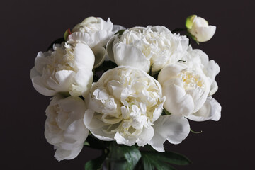 Lush white peony flowers in vase on dark background. A luxurious bouquet of full white peonies, blooming and fresh, against a dark backdrop and deep shadows. Serene and elegant aesthetic atmosphere.