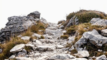a rocky hiking path isolated on white background