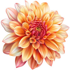 Fototapeta premium Close-up of a vibrant orange dahlia flower in full bloom. Perfect for nature, gardening, and floral themed projects.