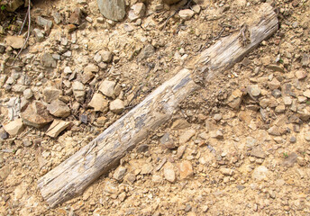 A log buried in rocky ground
