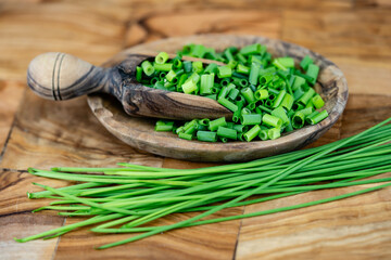 Schnittlauch Allium schoenoprasum aus dem Hausgarten