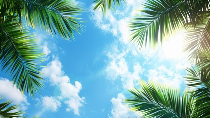 Naklejka premium Large green palm leaves on a blue sky background. Summer background. The concept of travel, tourism, and recreation.