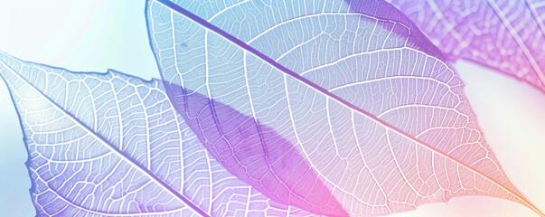 Leaf skeleton background. Abstract background in soft pastel colors with rengen amazing nature lines, nature concept.