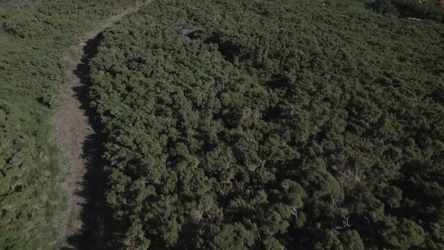 Dron Ferrol, grabado con un AIR 2S