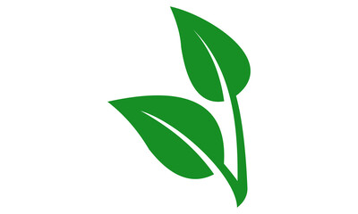 green leaf logo icon